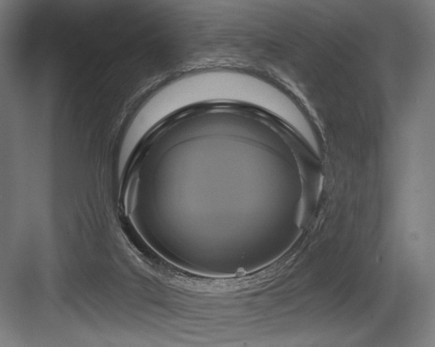 X0000083650019200702121202