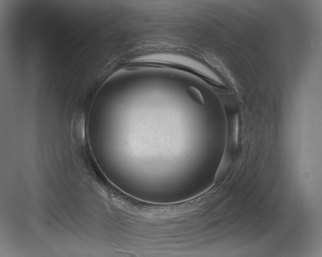 X0000083650021200702121202