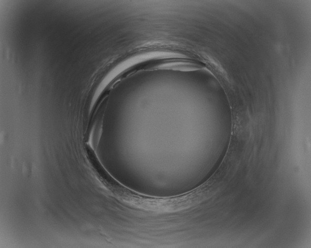 X0000083650023200702121202
