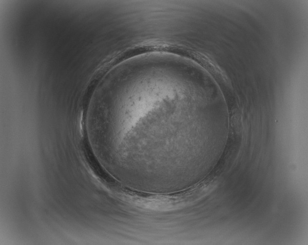 X0000083650024200702121201