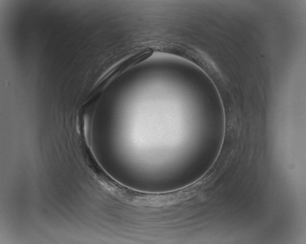X0000083650025200702121201