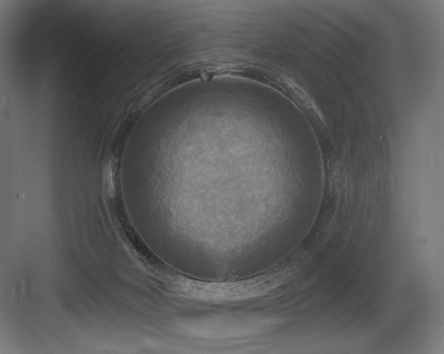 X0000083650026200702121201