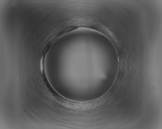 X0000083650027200702121201