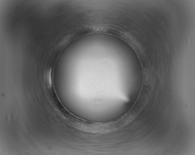 X0000083650028200702121201