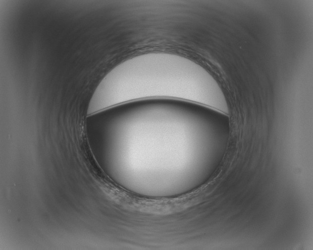 X0000083650029200702121201