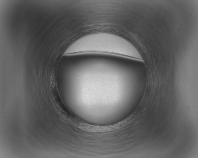X0000083650031200702121201
