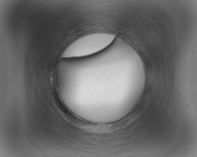 X0000083650032200702121201