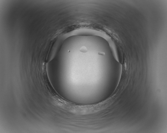 X0000083650033200702121201