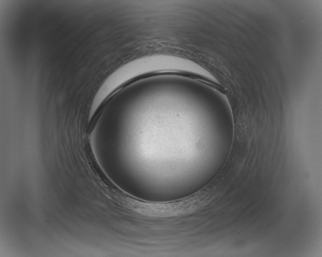 X0000083650034200702121201