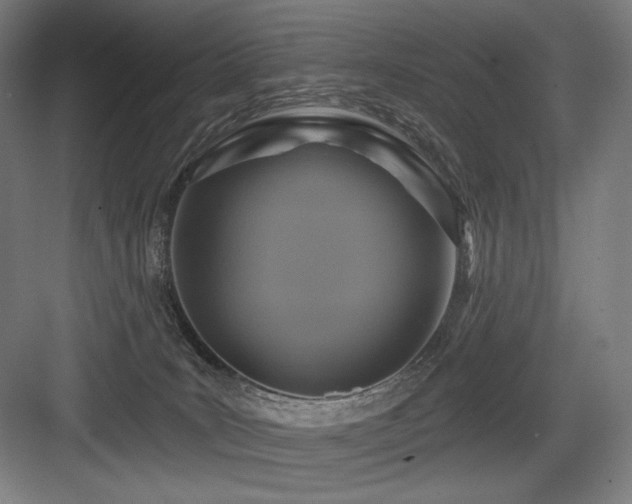 X0000083650035200702121201