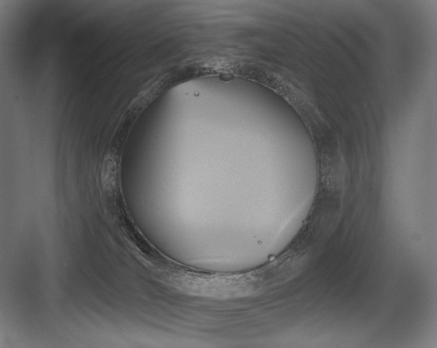 X0000083650036200702121201