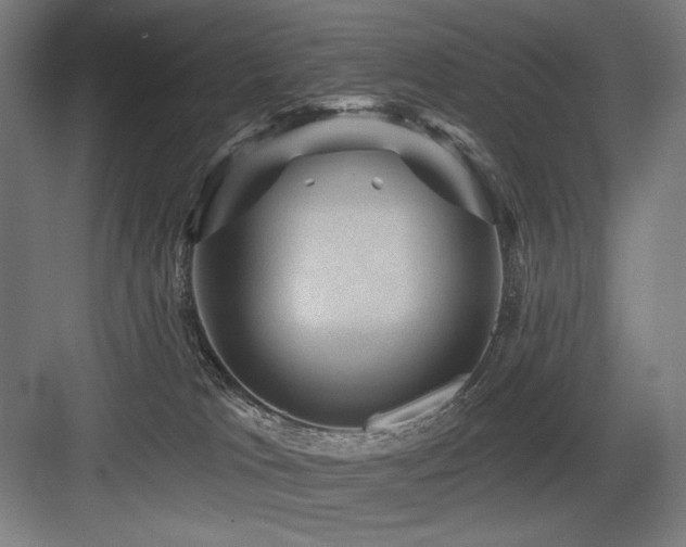 X0000083650037200702121201