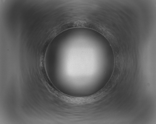 X0000083650038200702121201