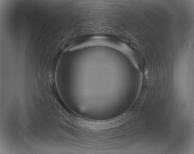 X0000083650039200702121201
