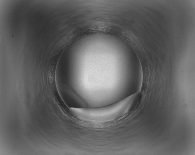 X0000083650040200702121201