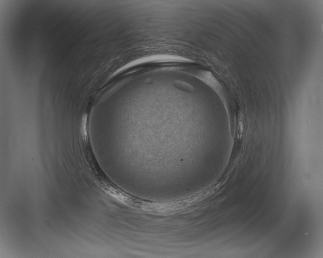 X0000083650041200702121201
