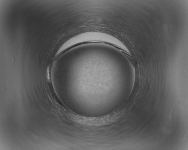 X0000083650042200702121201