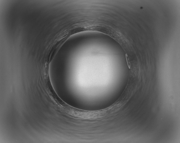X0000083650044200702121201