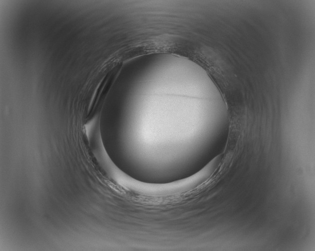 X0000083650045200702121201