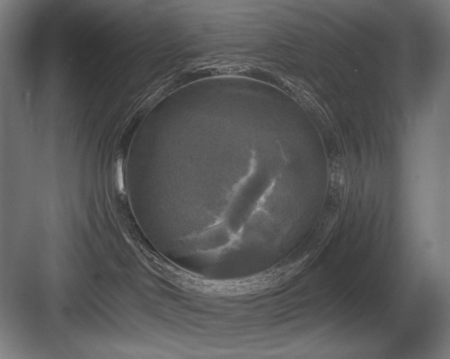X0000083650046200702121201