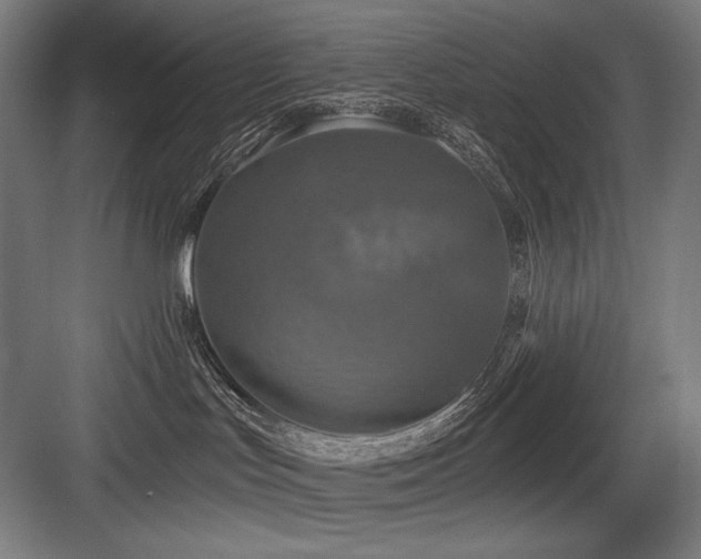 X0000083650047200702121201
