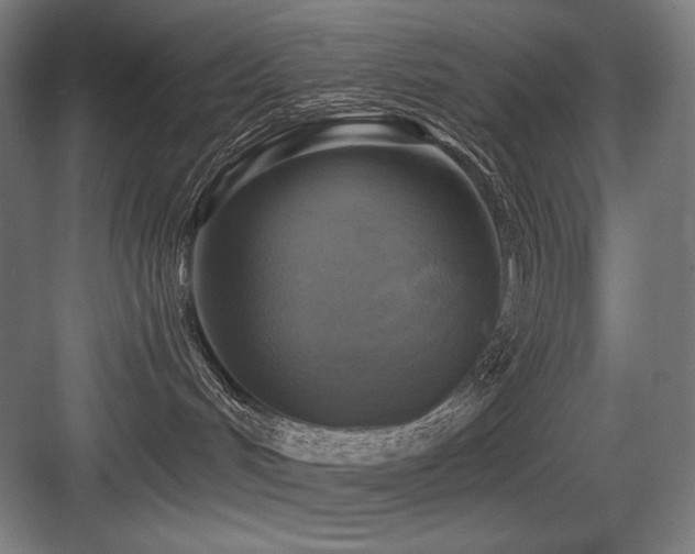 X0000083650048200702121201
