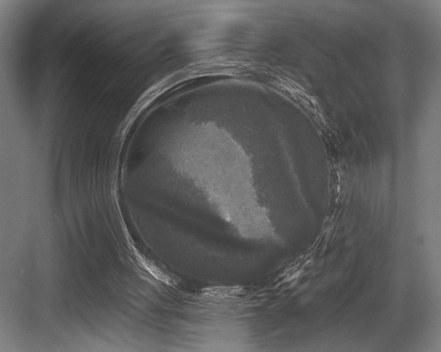 X0000083650051200702121200