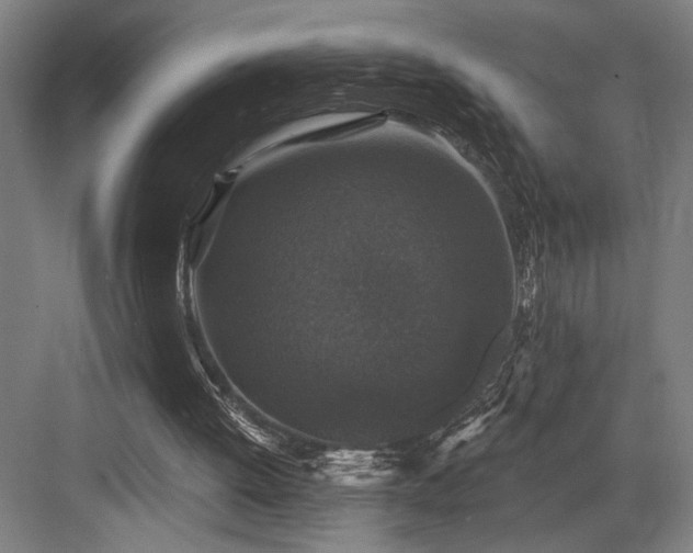 X0000083650052200702121200