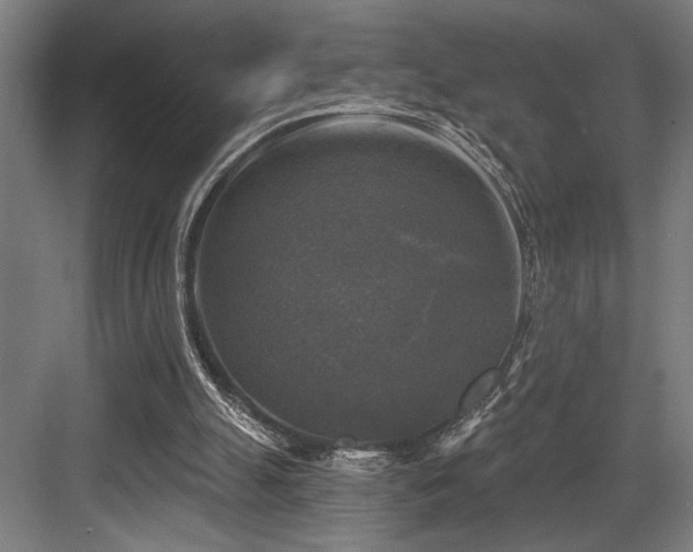 X0000083650055200702121200