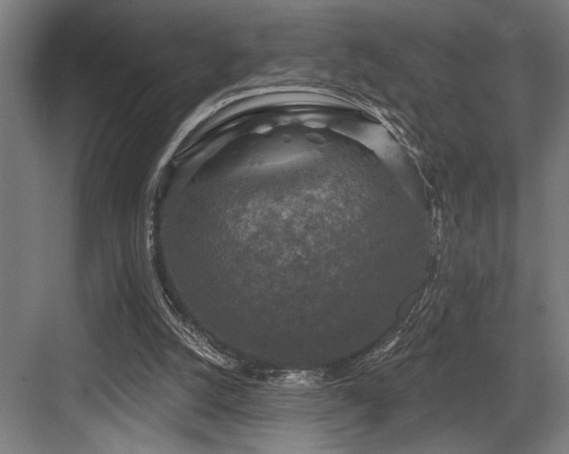 X0000083650056200702121200