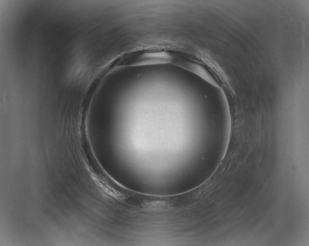 X0000083650058200702121200