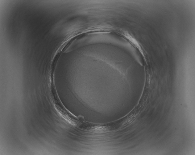 X0000083650059200702121200