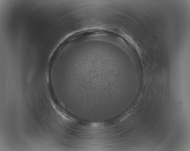 X0000083650060200702121200