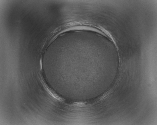 X0000083650061200702121200