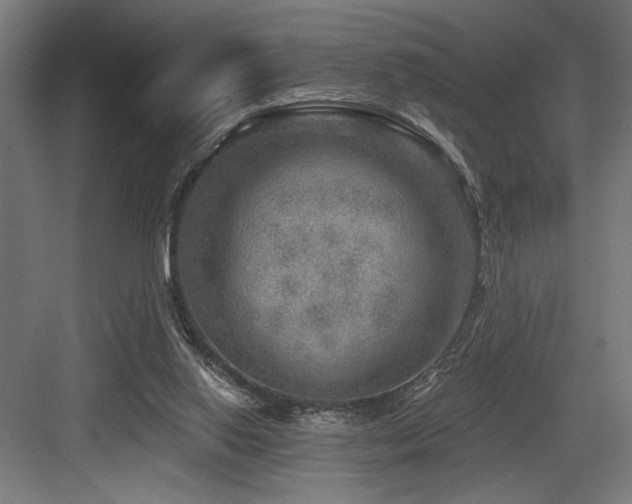 X0000083650062200702121200