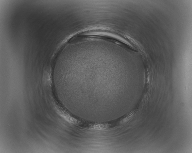 X0000083650064200702121201