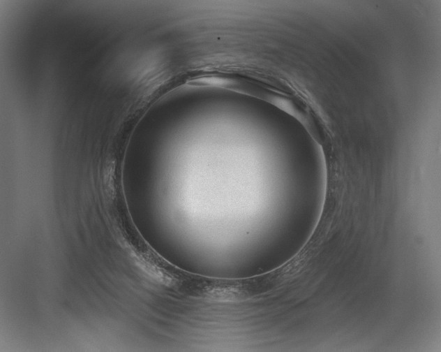 X0000083650066200702121201