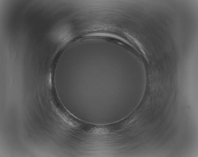 X0000083650067200702121201