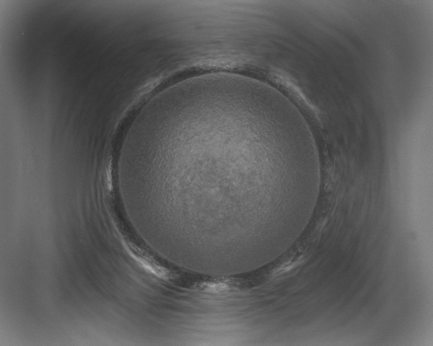 X0000083650068200702121201