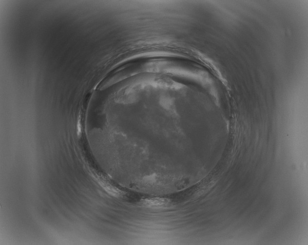 X0000083650069200702121201