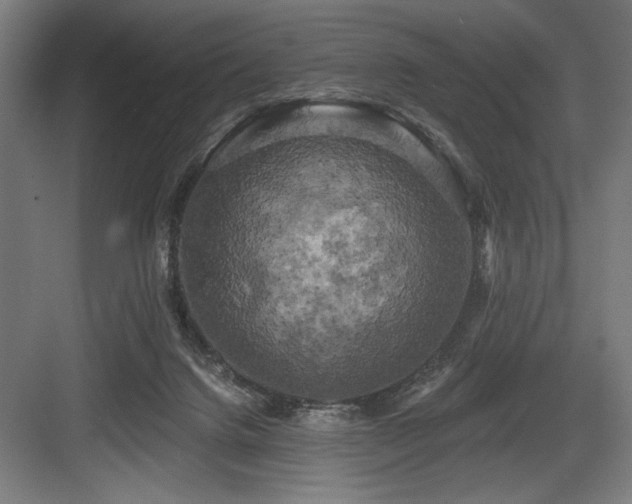 X0000083650072200702121201