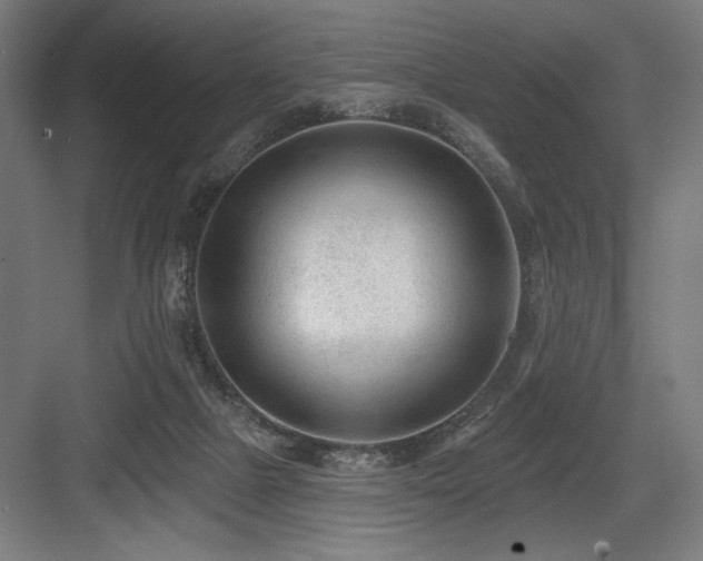 X0000083650073200702121201