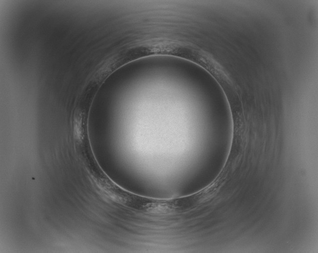 X0000083650074200702121201