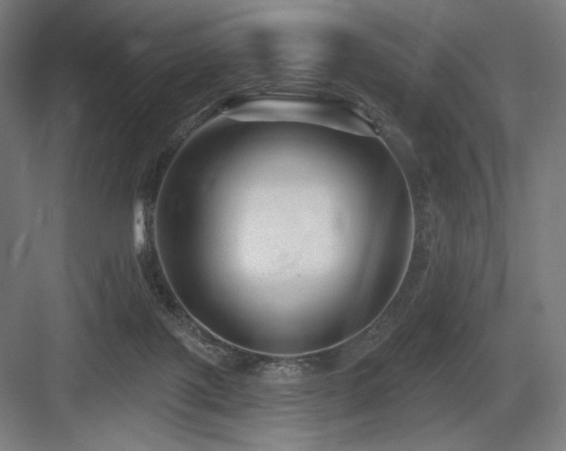 X0000083650075200702121201