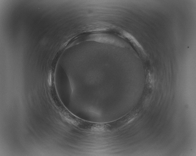 X0000083650076200702121201