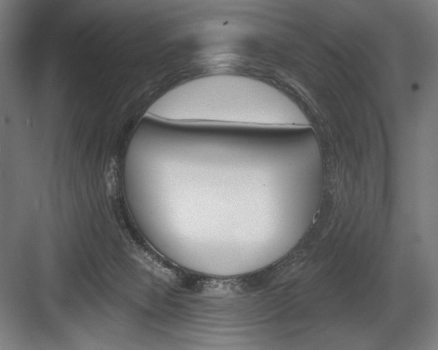 X0000083650077200702121201