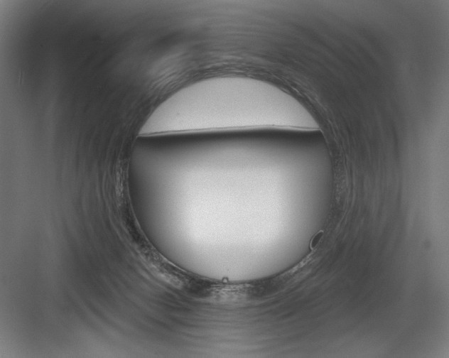 X0000083650078200702121201