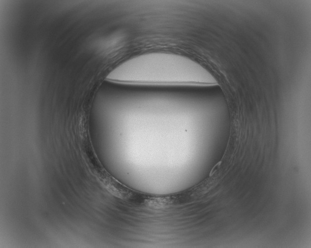 X0000083650079200702121201