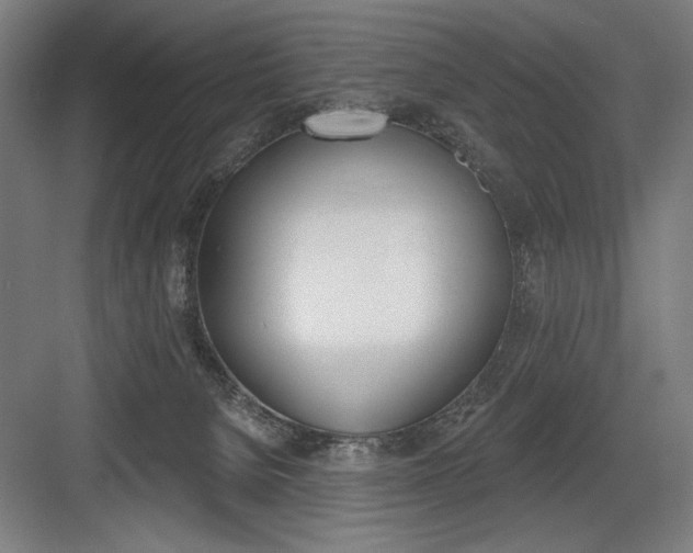 X0000083650080200702121201