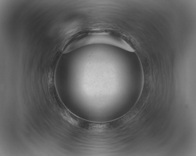 X0000083650081200702121201
